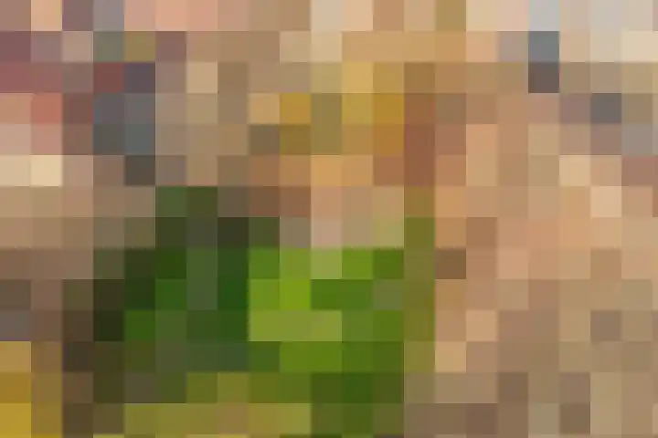 Acaciastraat 20 BS Utrecht thumbnail 47
