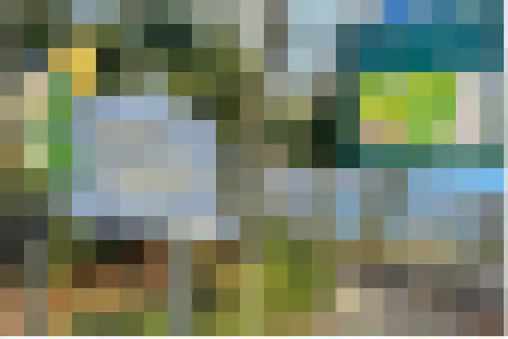 Acaciastraat 20 BS Utrecht thumbnail 48