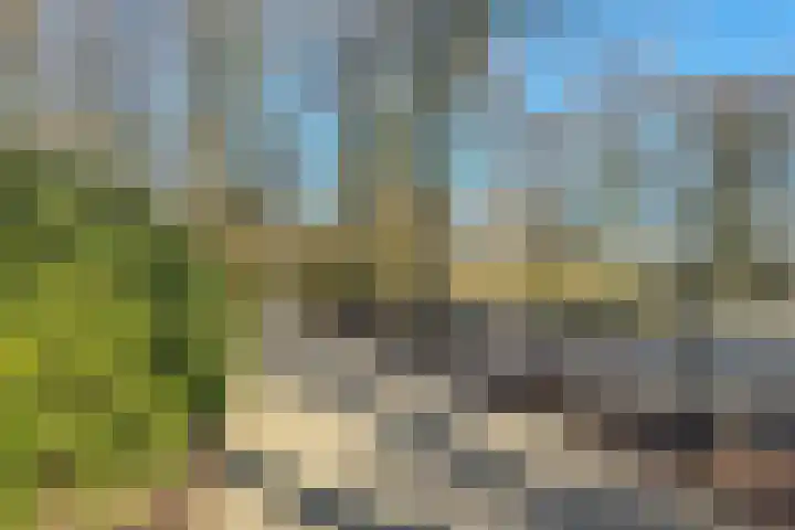 Acaciastraat 20 BS Utrecht thumbnail 49