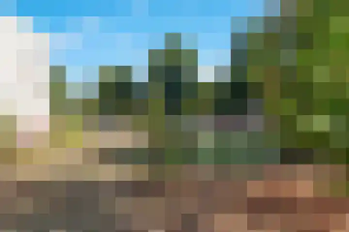 Acaciastraat 20 BS Utrecht thumbnail 54