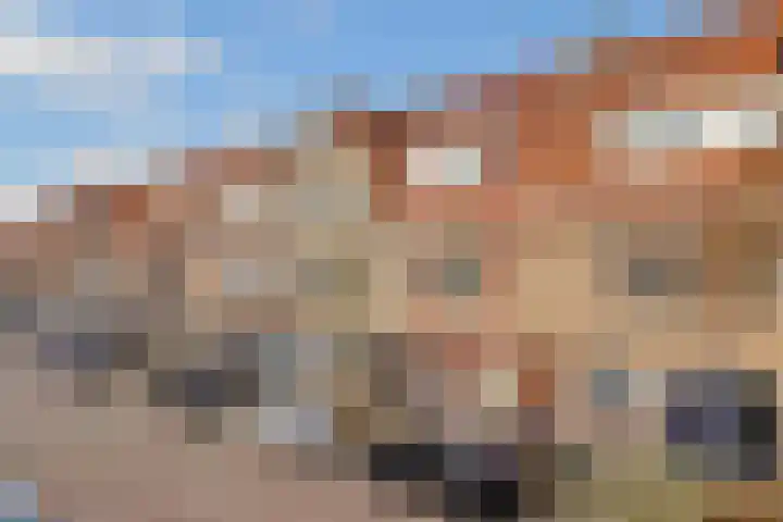 Acaciastraat 20 BS Utrecht thumbnail 7