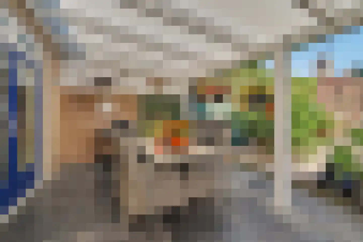 Acaciastraat 20 Nieuwkuijk thumbnail 10