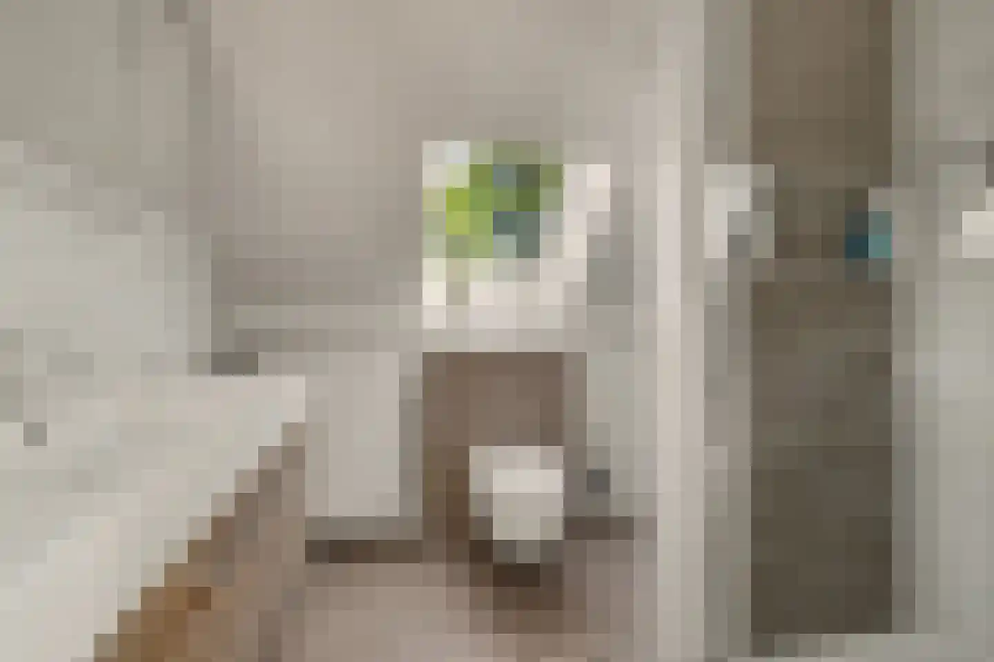 Acaciastraat 20 Nieuwkuijk thumbnail 18