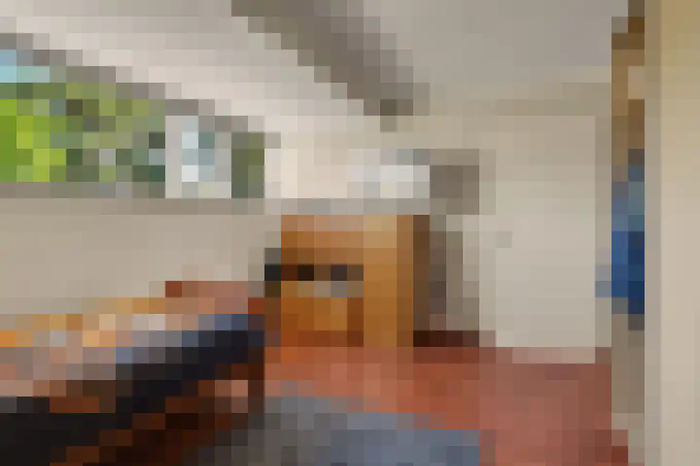 Acaciastraat 20 Nieuwkuijk thumbnail 21