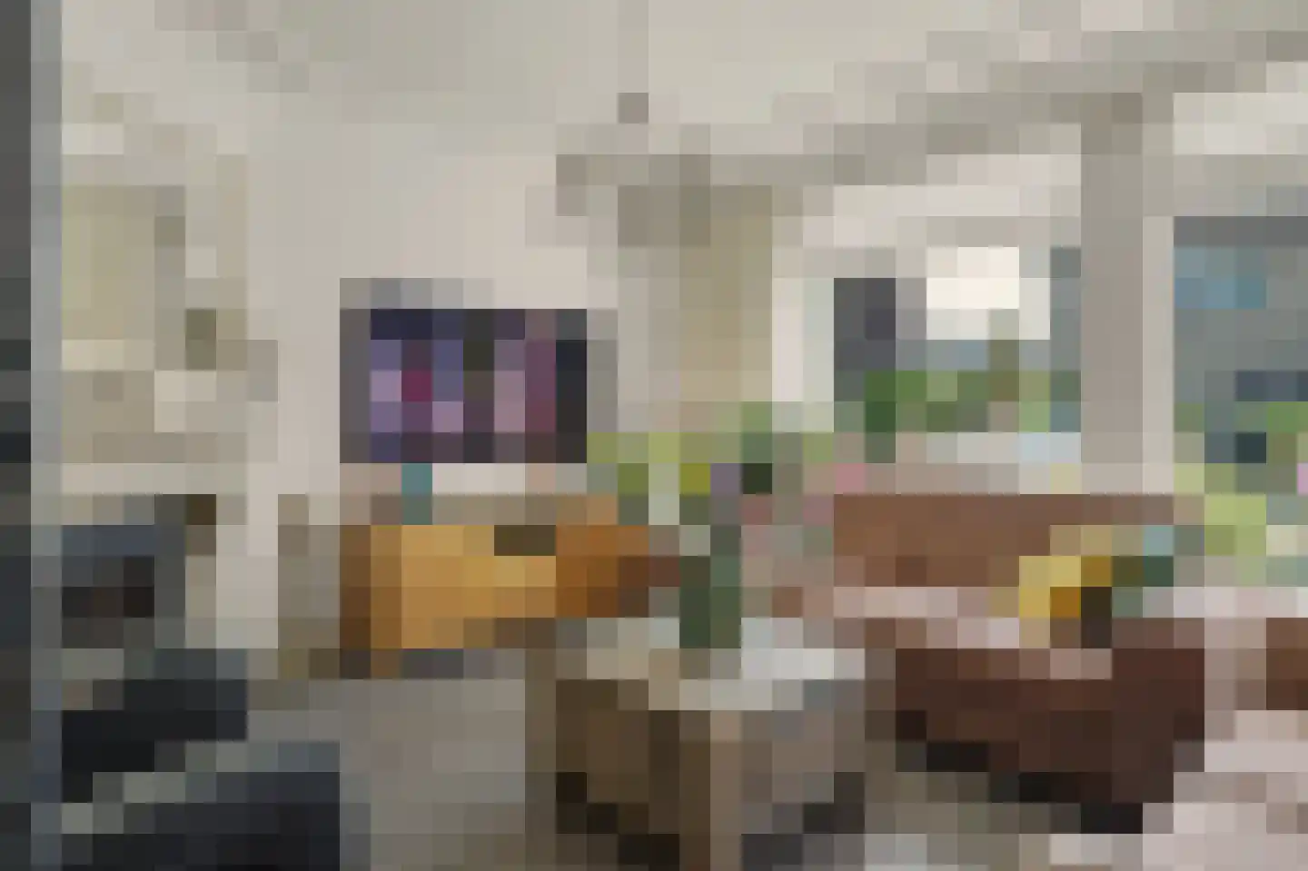 Acaciastraat 20 Nieuwkuijk thumbnail 4