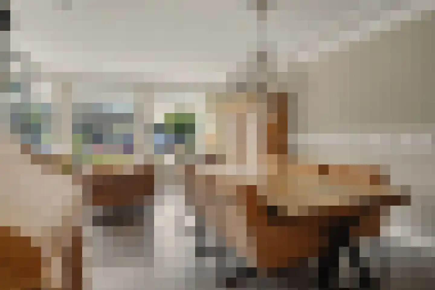 Acaciastraat 20 Nieuwkuijk thumbnail 5