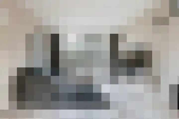 Acaciastraat 21 Dordrecht thumbnail 11