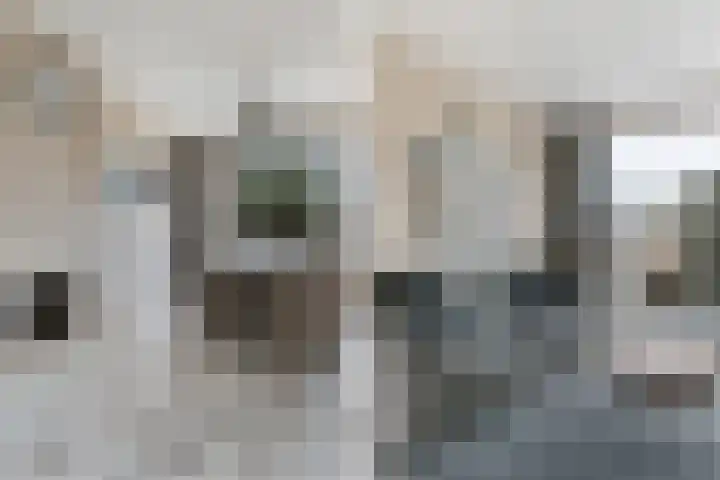 Acaciastraat 21 Dordrecht thumbnail 13