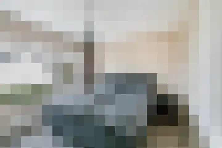 Acaciastraat 21 Dordrecht thumbnail 18
