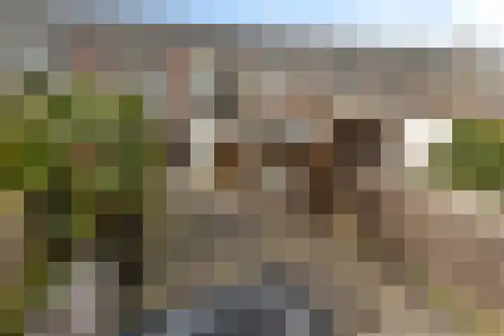 Acaciastraat 21 Dordrecht thumbnail 21