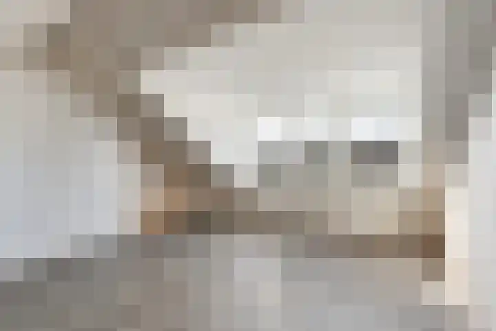 Acaciastraat 21 Dordrecht thumbnail 25