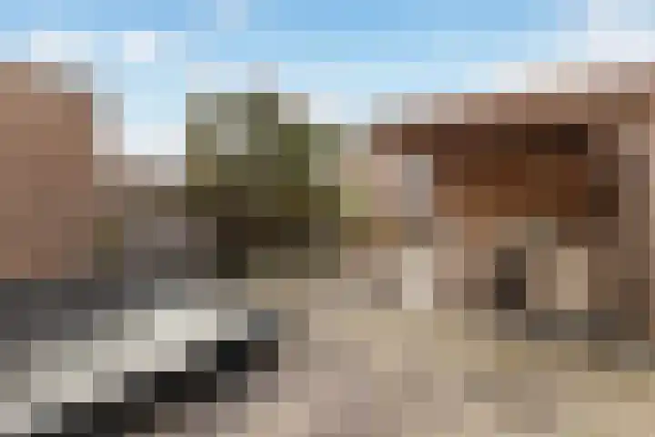Acaciastraat 21 Dordrecht thumbnail 26
