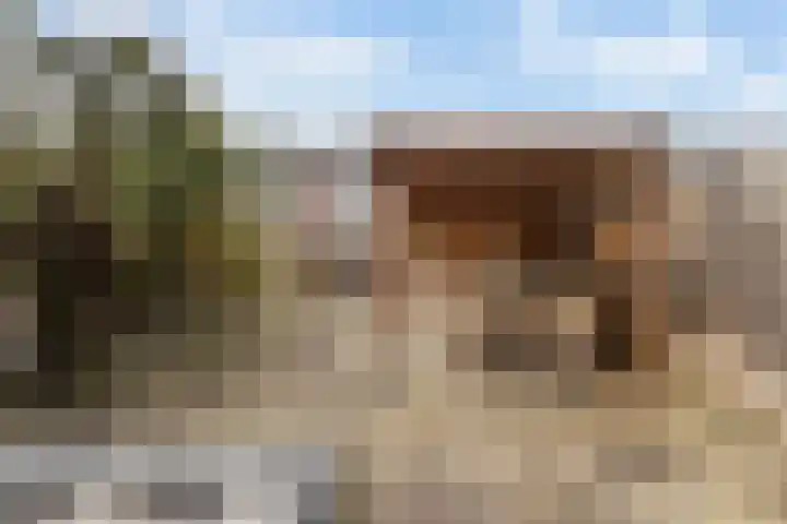 Acaciastraat 21 Dordrecht thumbnail 27