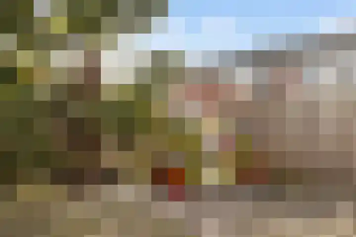 Acaciastraat 21 Dordrecht thumbnail 30