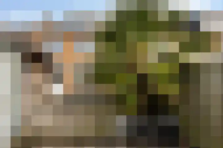 Acaciastraat 21 Dordrecht thumbnail 31