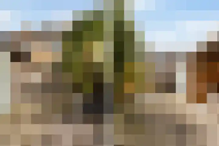 Acaciastraat 21 Dordrecht thumbnail 32
