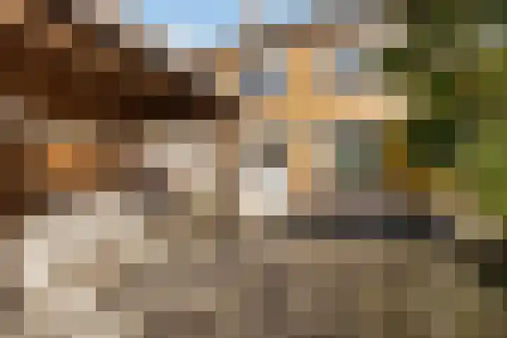 Acaciastraat 21 Dordrecht thumbnail 5