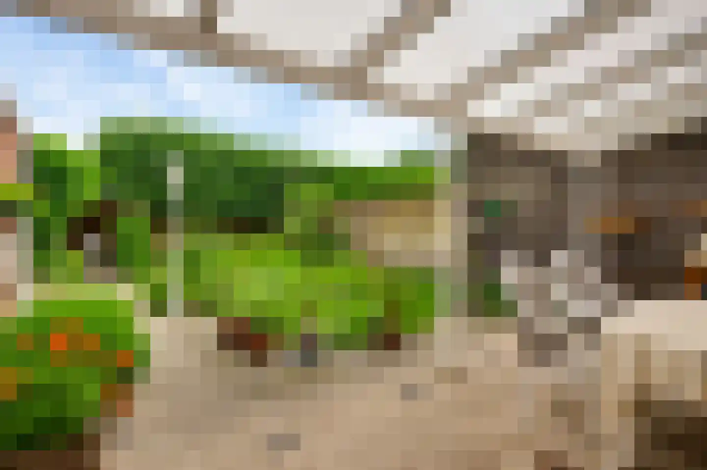 Acaciastraat 21 Nederweert thumbnail 10