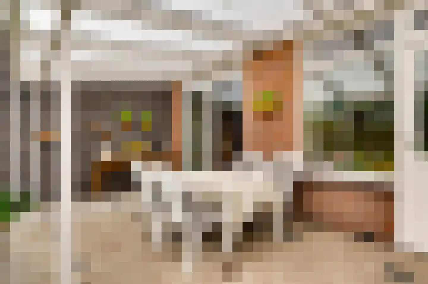 Acaciastraat 21 Nederweert thumbnail 11