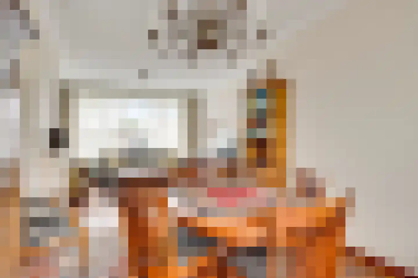Acaciastraat 21 Nederweert thumbnail 7