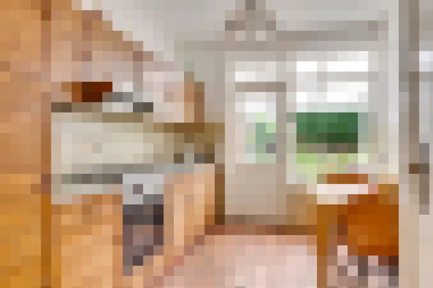 Acaciastraat 21 Nederweert thumbnail 8