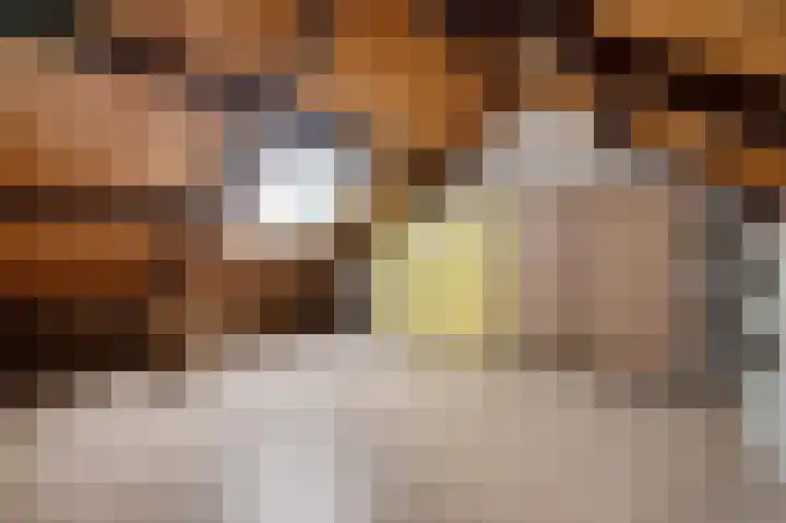 Acaciastraat 21 Nieuwegein thumbnail 4