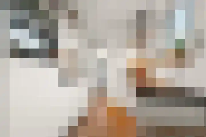 Acaciastraat 21 Nijmegen thumbnail 19