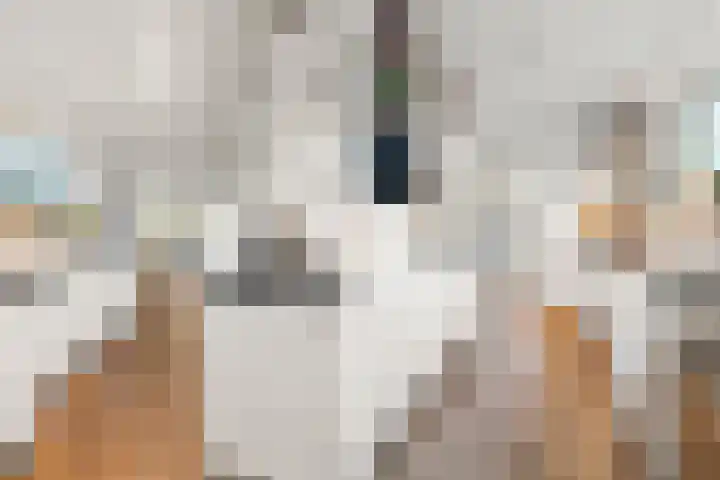 Acaciastraat 21 Nijmegen thumbnail 20