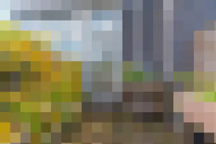 Acaciastraat 21 Nijmegen thumbnail 27