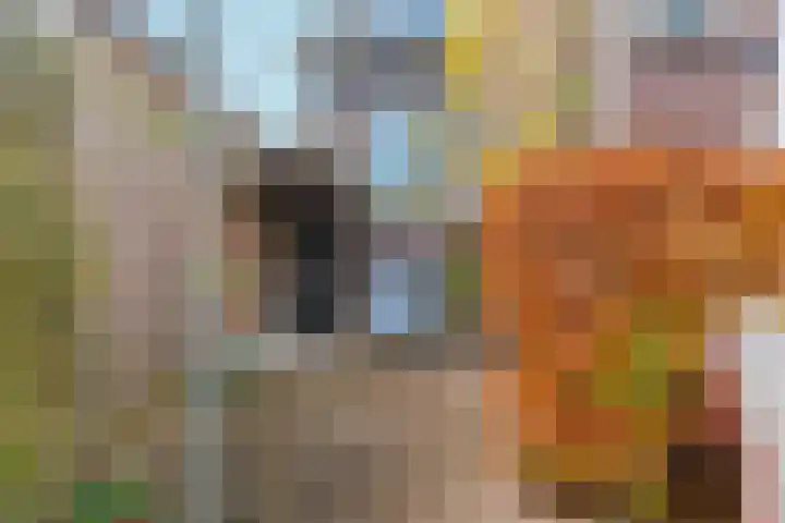 Acaciastraat 21 Nijmegen thumbnail 36