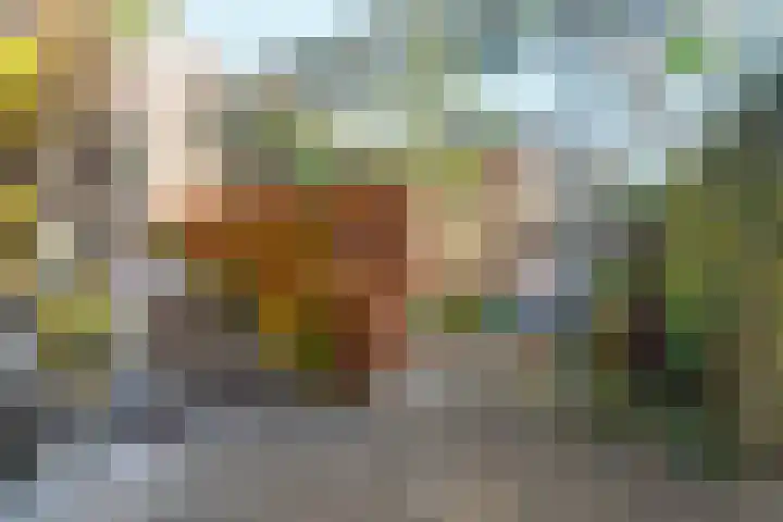 Acaciastraat 21 Nijmegen thumbnail 40