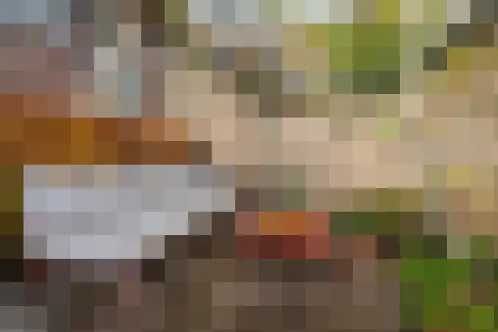 Acaciastraat 21 Nijmegen thumbnail 42