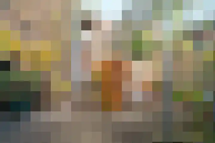 Acaciastraat 21 Nijmegen thumbnail 5