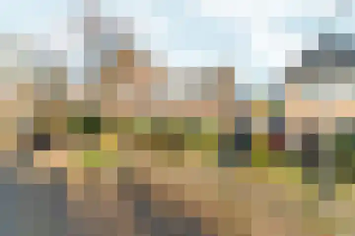 Acaciastraat 21 Nijmegen thumbnail 52