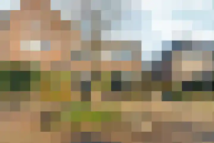 Acaciastraat 21 Nijmegen thumbnail 6