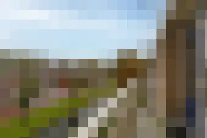 Acaciastraat 22 Alphen aan den Rijn thumbnail 23