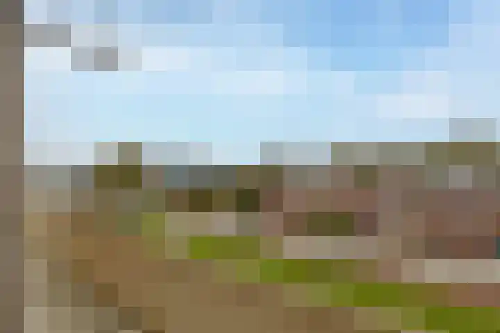 Acaciastraat 22 Alphen aan den Rijn thumbnail 24