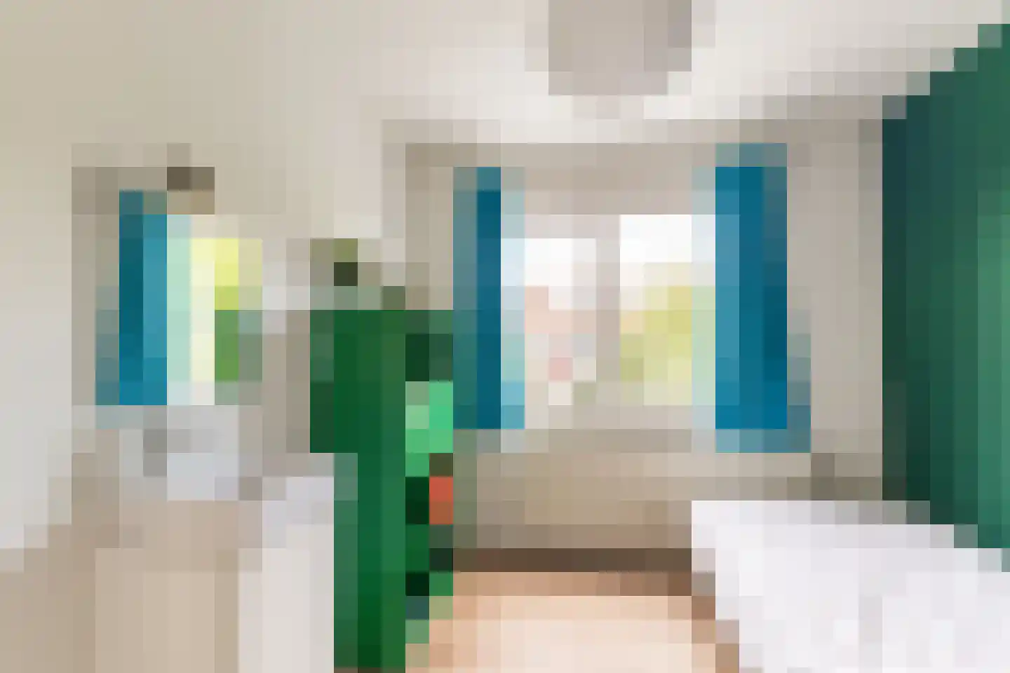 Acaciastraat 23 Haarlem thumbnail 27