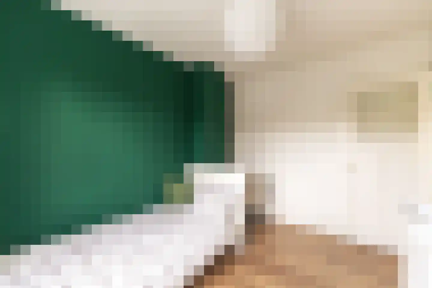 Acaciastraat 23 Haarlem thumbnail 28