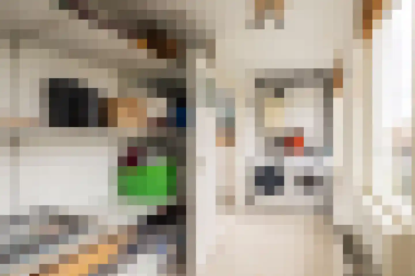 Acaciastraat 23 Haarlem thumbnail 32