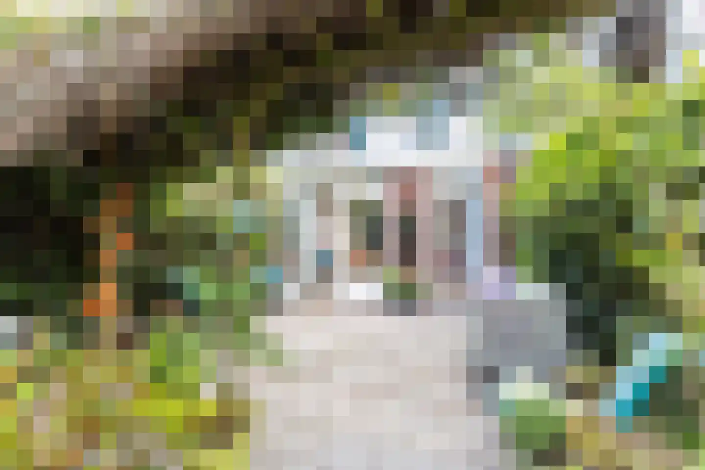 Acaciastraat 23 Haarlem thumbnail 35
