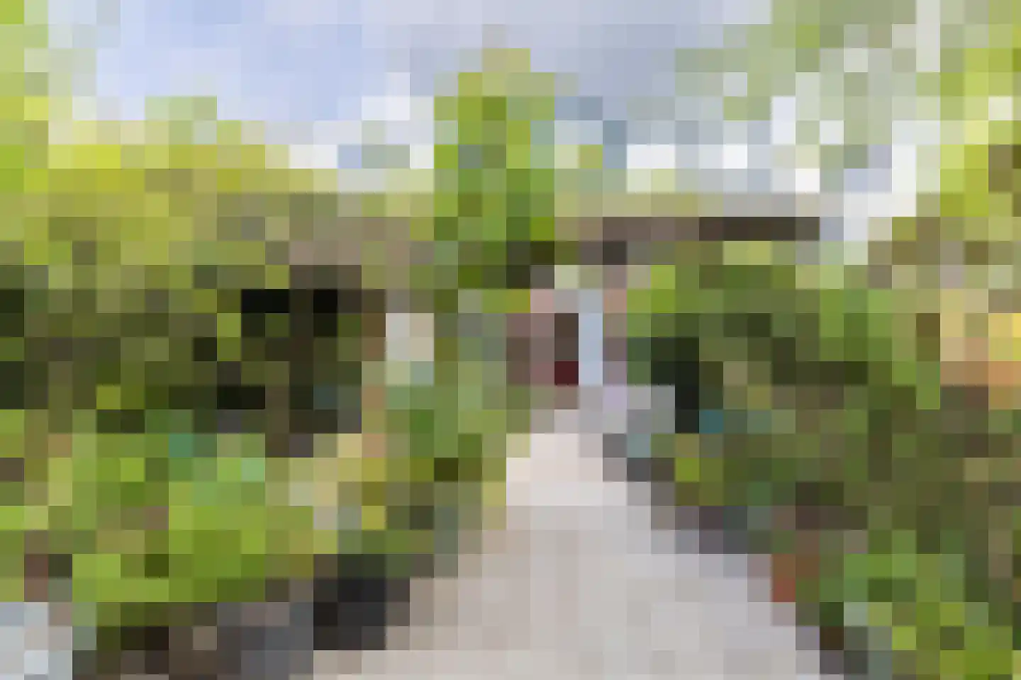 Acaciastraat 23 Haarlem thumbnail 4
