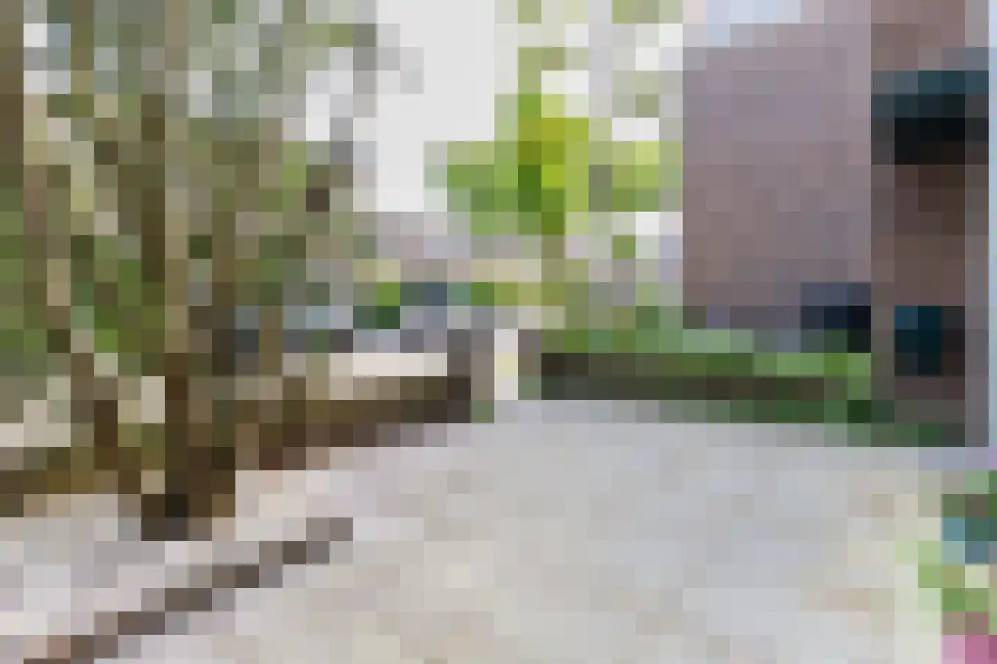 Acaciastraat 23 Haarlem thumbnail 6