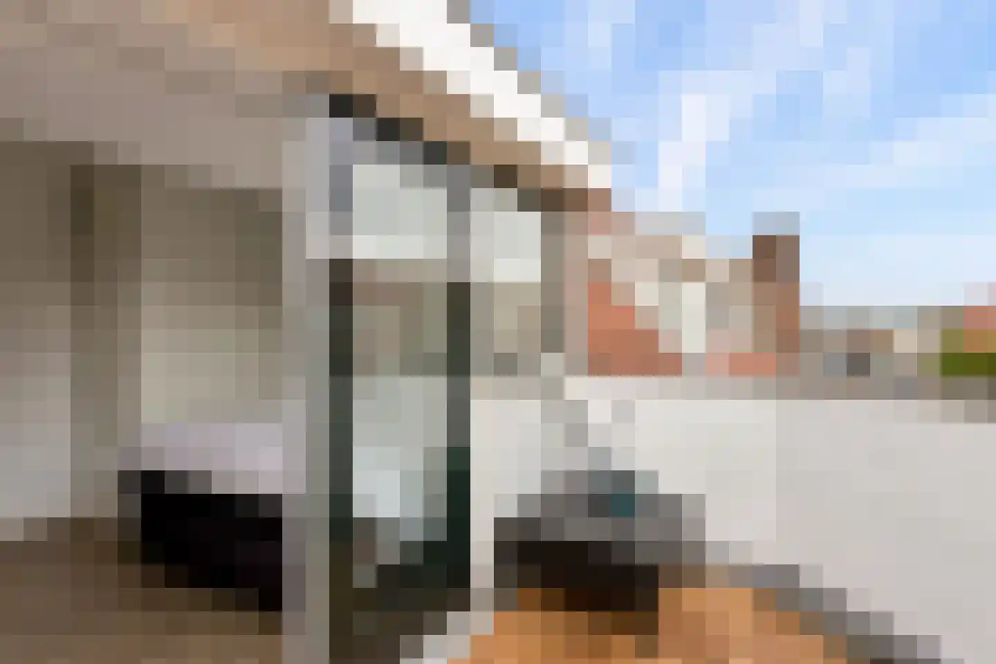 Acaciastraat 25 BS Utrecht thumbnail 19