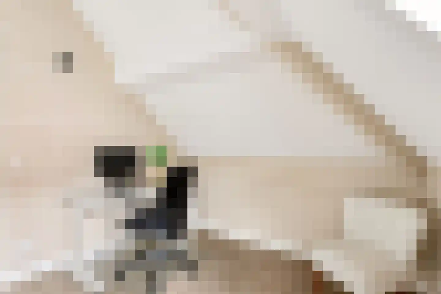Acaciastraat 25 BS Utrecht thumbnail 22