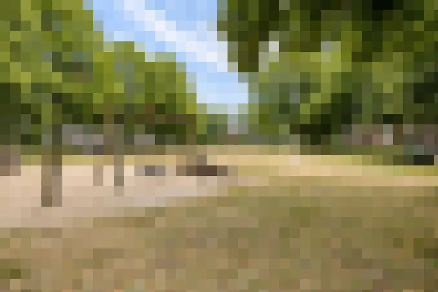 Acaciastraat 25 BS Utrecht thumbnail 33