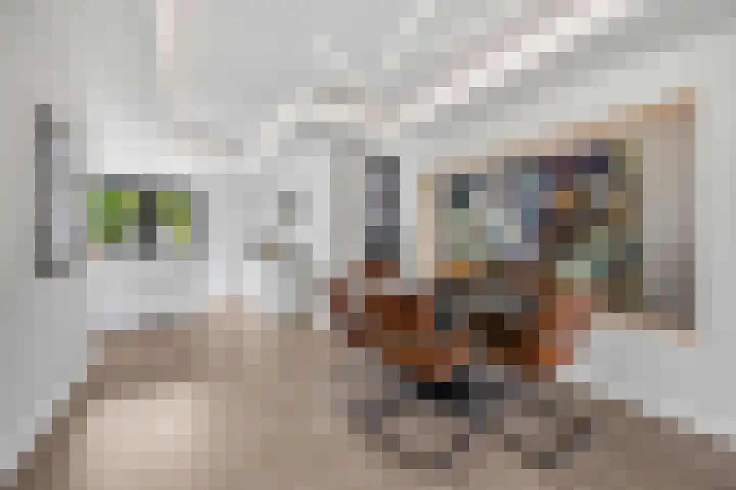 Acaciastraat 25 Made thumbnail 21