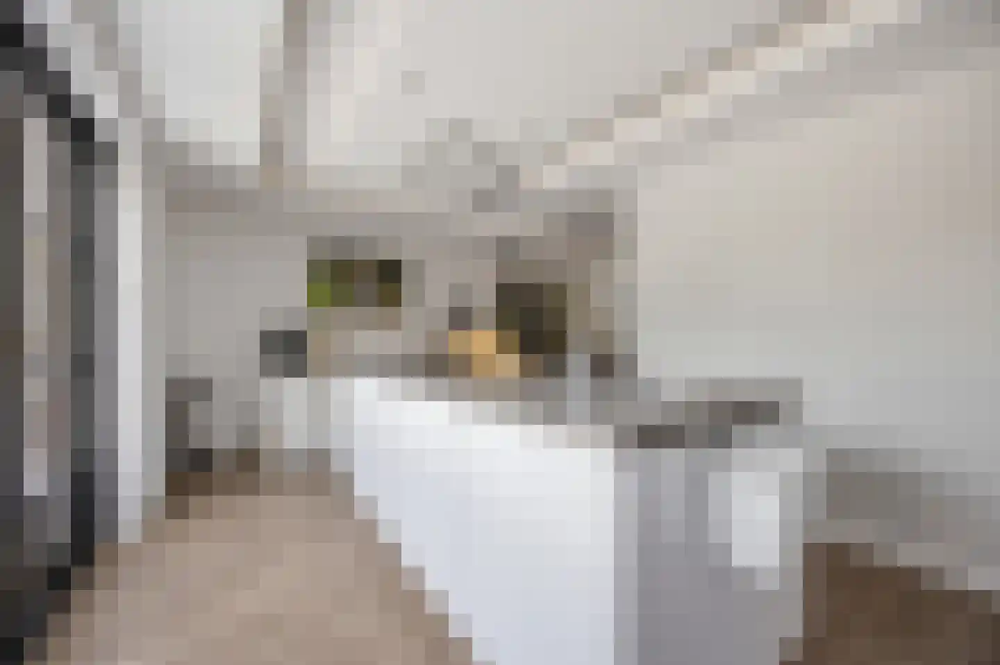 Acaciastraat 25 Made thumbnail 23