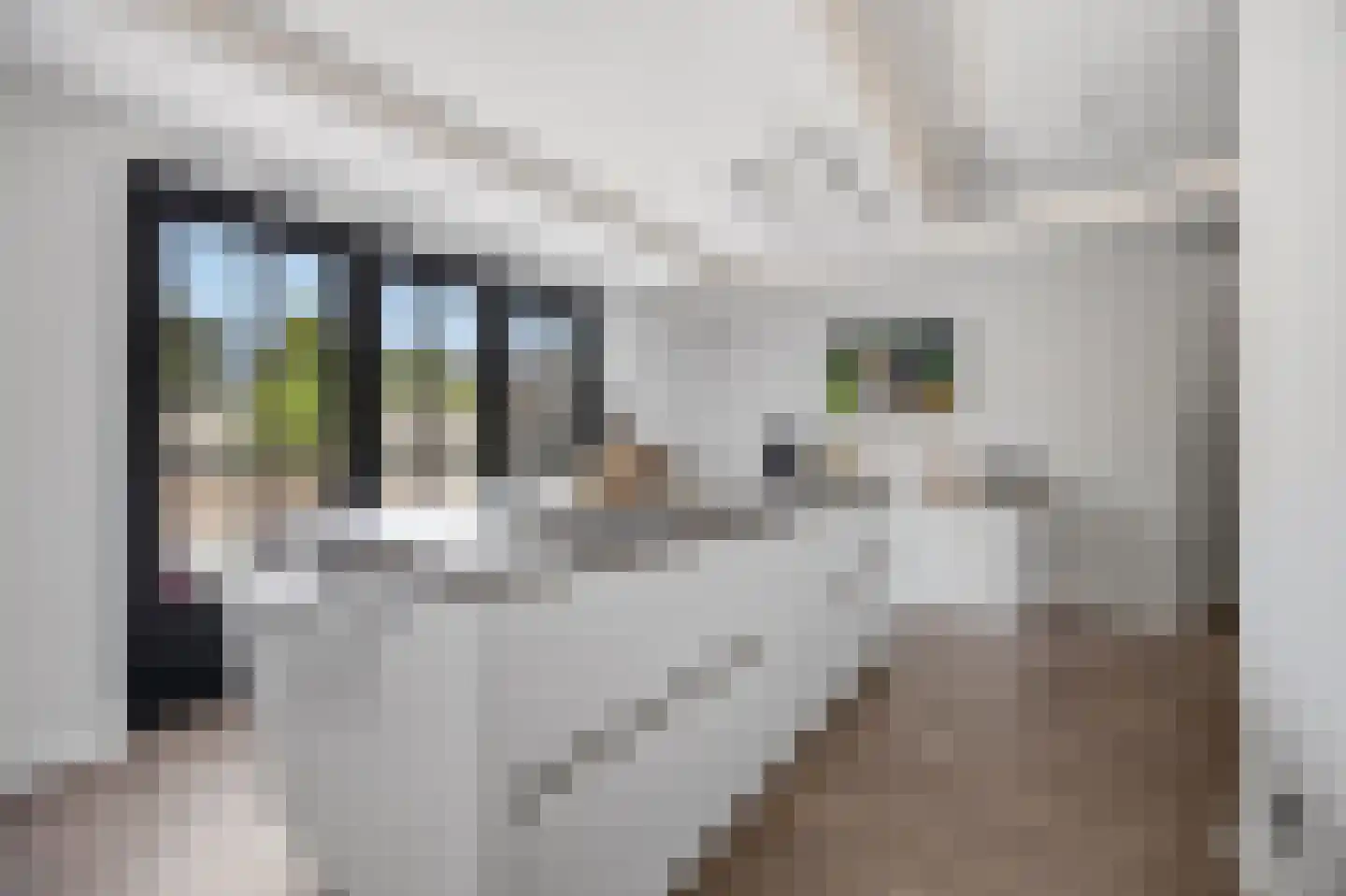 Acaciastraat 25 Made thumbnail 24