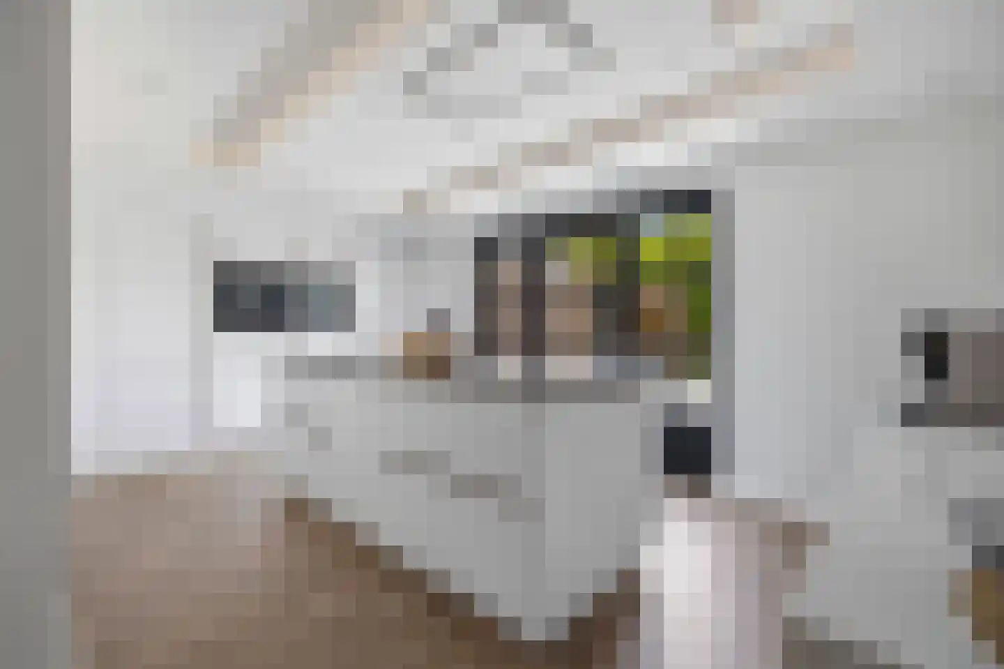 Acaciastraat 25 Made thumbnail 4